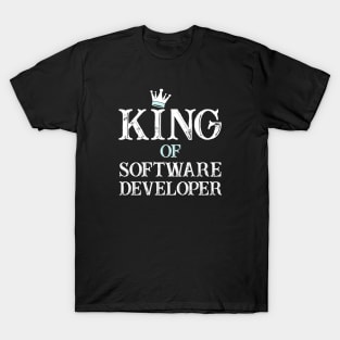 programming software Developer T-Shirt